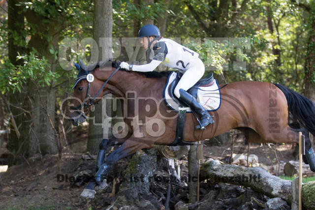 Vielseitigkeitsturnier RSV St. Hubertus Wesel Obrighoven