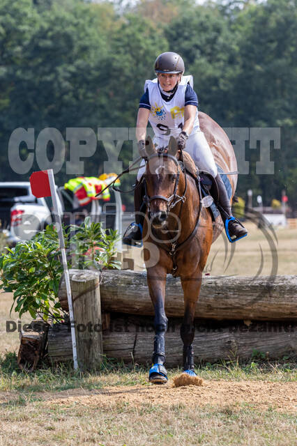 Late-Entry Vielseitigkeit Hamminkeln/Wesel (01.+02.08.2020)