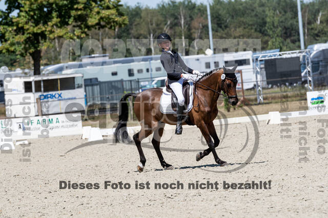 Kronenberg - De Peelbergen (August 2020)