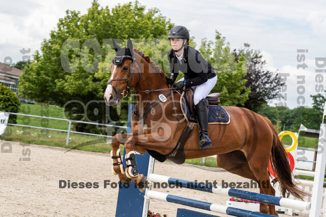 Late-Entry-Vielseitigkeit Langenfeld (06.+07.07.2020)