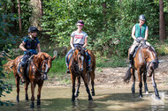 Hunter Geländetraining (16.08.2020)