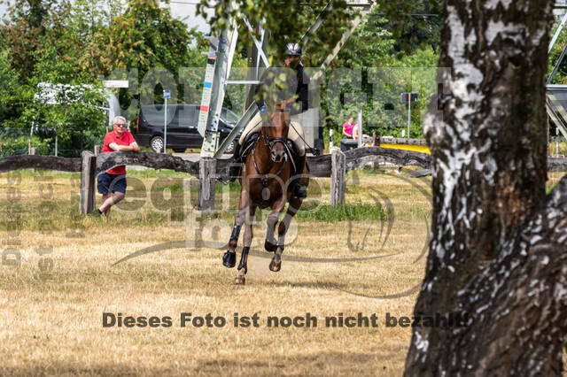 Late-Entry Vielseitigkeit Hamminkeln/Wesel (01.+02.08.2020)