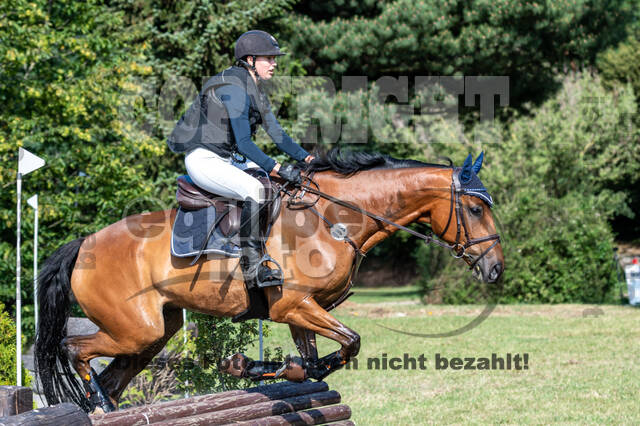 Late-Entry-Vielseitigkeit Langenfeld (11.+13./14.06.2020)