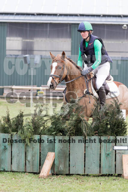 Jungpferdetag Hamminkeln