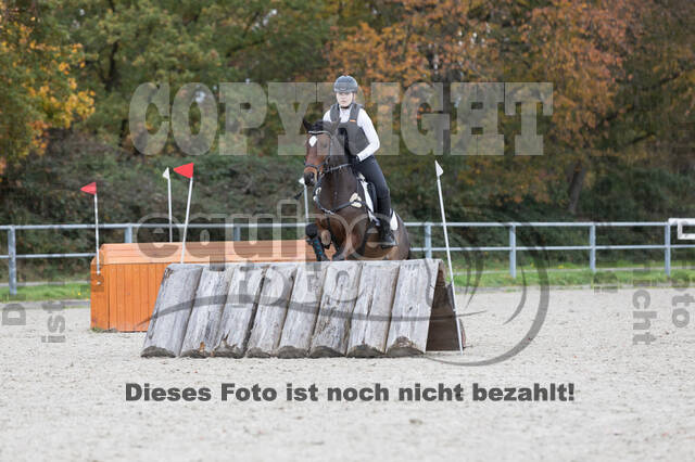 IGV Lehrgang der Sieger der Cups mit Frank Ostholt