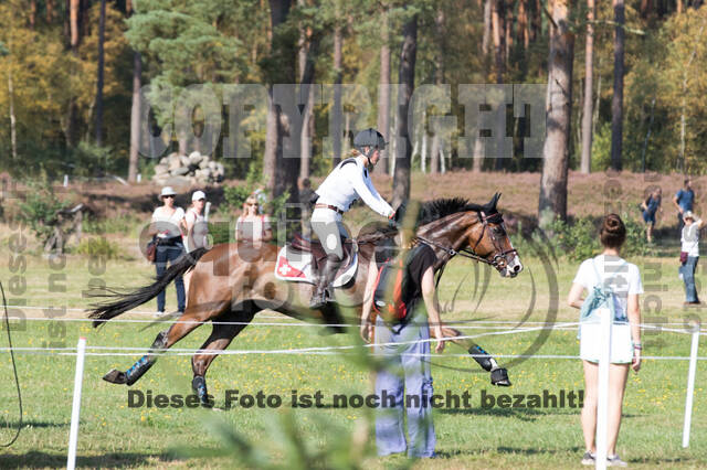 FEI European Championship Eventing 2019