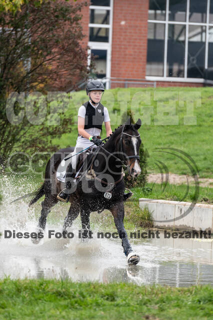 Goldene Schärpe 2020 - Pferde