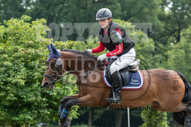 Goldene Schärpe 2021 - Ponys