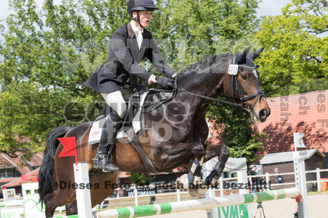 Sterne über Münster 2019 - CCI***S