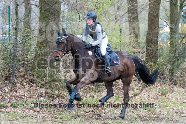 Eventing im Pferdesportzentrum Rheinland (Late Entry 14.03.2022)