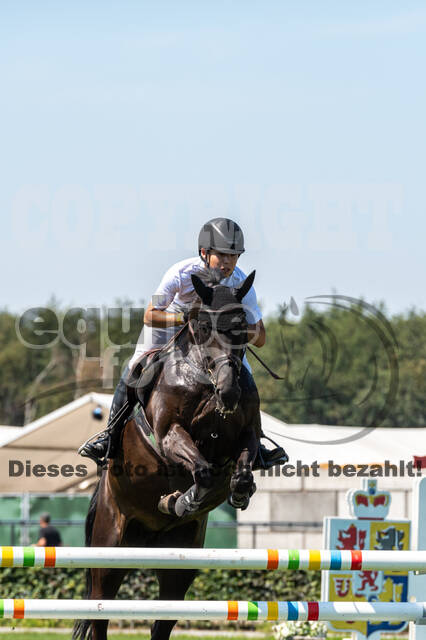 Kronenberg - De Peelbergen (August 2020)