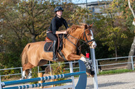 IGV Lehrgang der Sieger der Cups mit Frank Ostholt