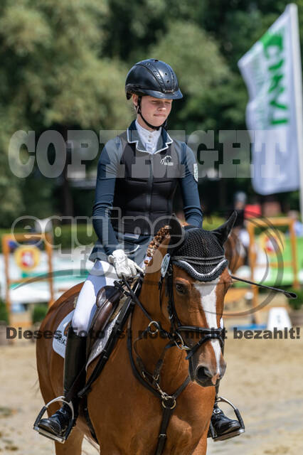 Goldene Schärpe 2021 - Ponys