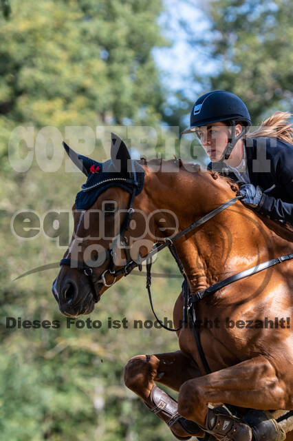 RFV Dinslaken-Hiesfeld (Herbstturnier)