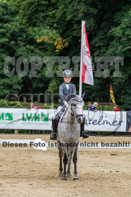 Goldene Schärpe 2021 - Ponys