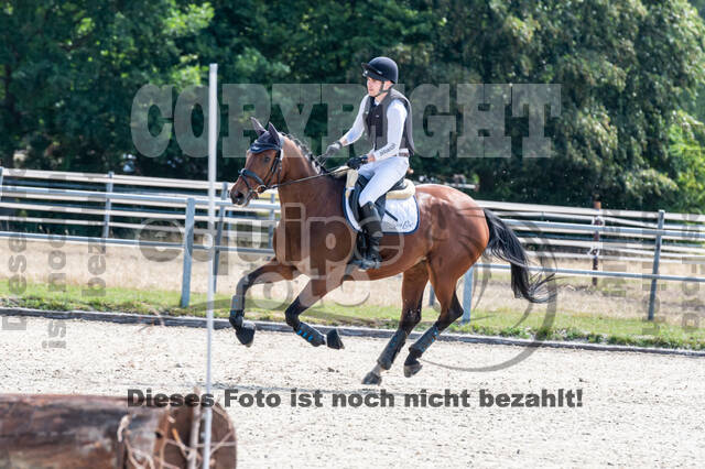 Late-Entry-Vielseitigkeit Langenfeld (11.+13./14.06.2020)