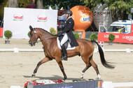 FEI European Championship Eventing 2017