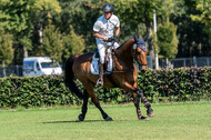 Kronenberg - De Peelbergen (August 2020)