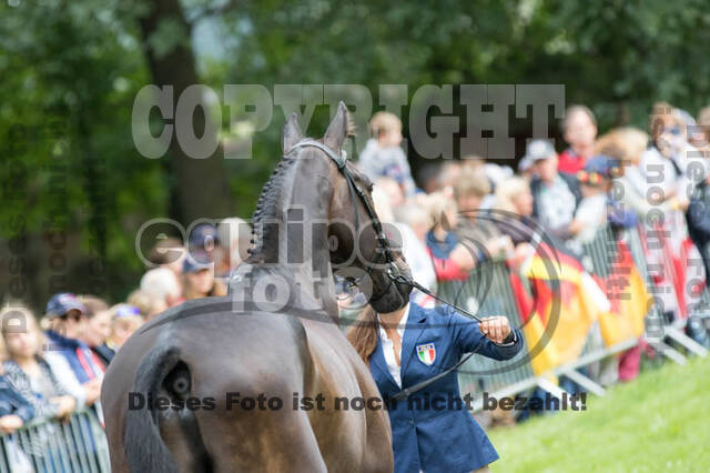 FEI European Championship