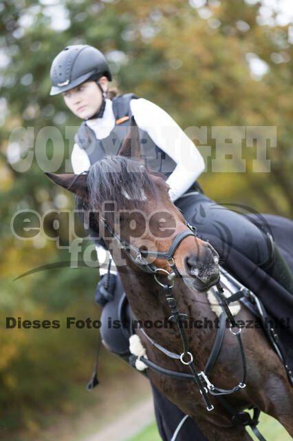 IGV Lehrgang der Sieger der Cups mit Frank Ostholt