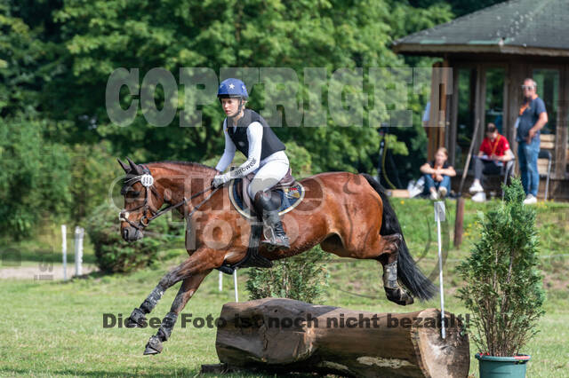 Goldene Schärpe 2021 - Ponys