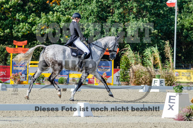 Deutsche Meisterschaft Vielseitigkeit (Luhmühlen)