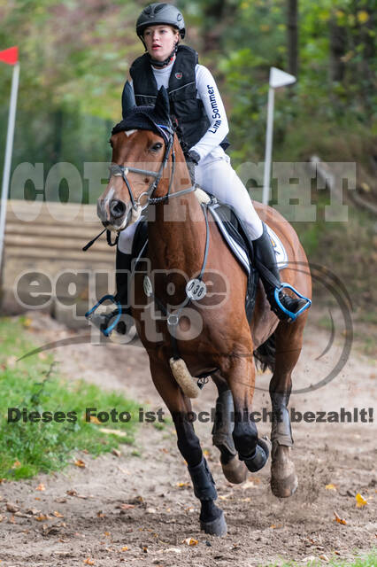 Goldene Schärpe 2020 - Pferde