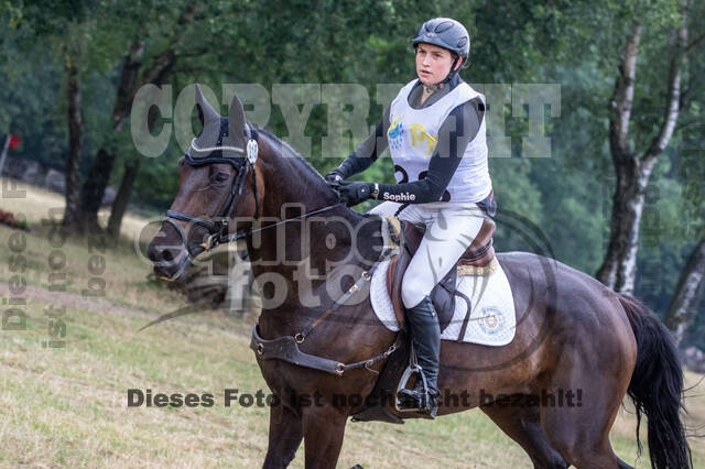 Late-Entry Vielseitigkeit Hamminkeln/Wesel (01.+02.08.2020)