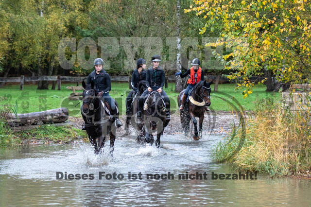 Training Bettina Hoy (01.11.2020)