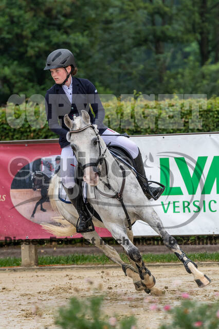 Goldene Schärpe 2021 - Ponys