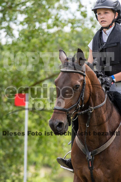 Bonn-Rodderberg Late-Entry-Vielseitigkeit (30.06.2020)