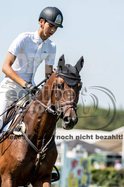 Kronenberg - De Peelbergen (August 2020)