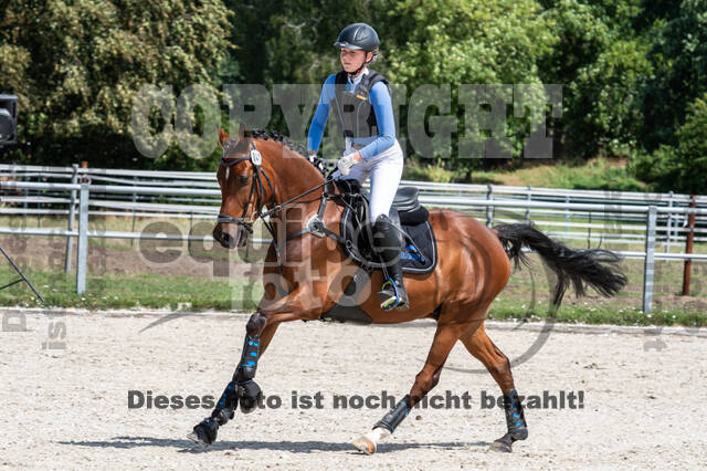 Late-Entry-Vielseitigkeit Langenfeld (06.+07.07.2020)