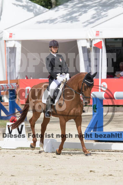 FEI European Championship Eventing 2017