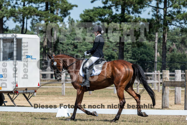 Kronenberg - De Peelbergen (August 2020)