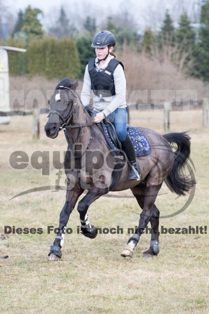 Geländetraining RSV St. Hubertus Wesel Obrighoven