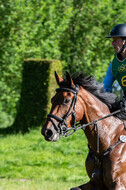 Westerstede Horse Trials (10.-13.06.2021)