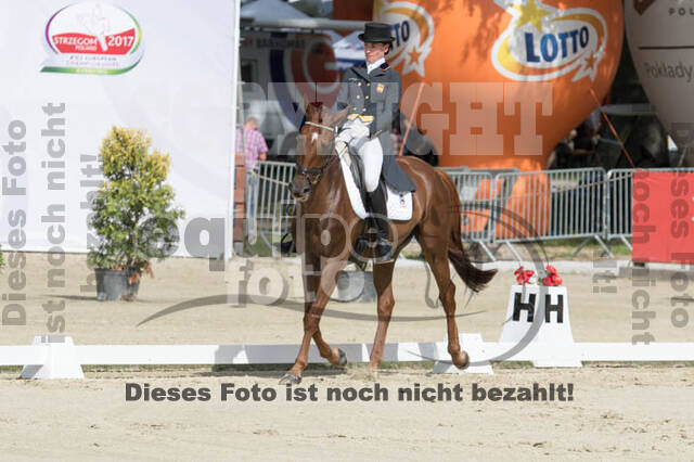 FEI European Championship Eventing 2017