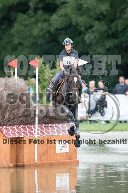 FEI European Championship