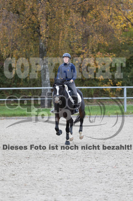 IGV Lehrgang der Sieger der Cups mit Frank Ostholt