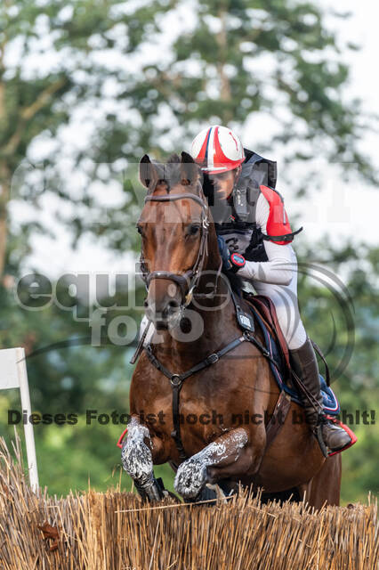 De Peelbergen (August 2020)