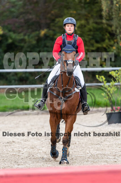 Goldene Schärpe 2020 - Pferde