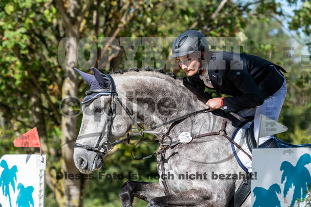 RFV Dinslaken-Hiesfeld (Herbstturnier)