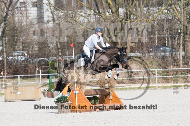 Eventing Langenfeld 2018