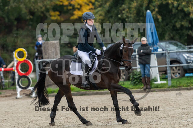 Reiter Schleswig-Holstein