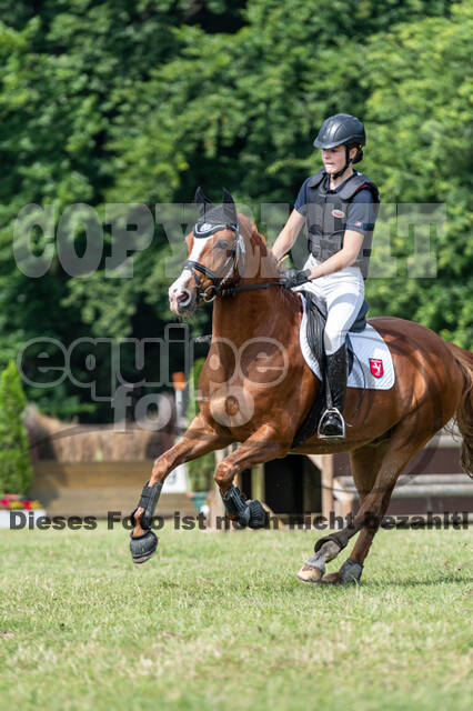 Goldene Schärpe 2021 - Ponys