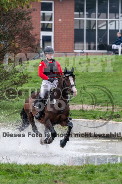 Goldene Schärpe 2020 - Pferde