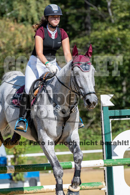 RFV Dinslaken-Hiesfeld (Herbstturnier)