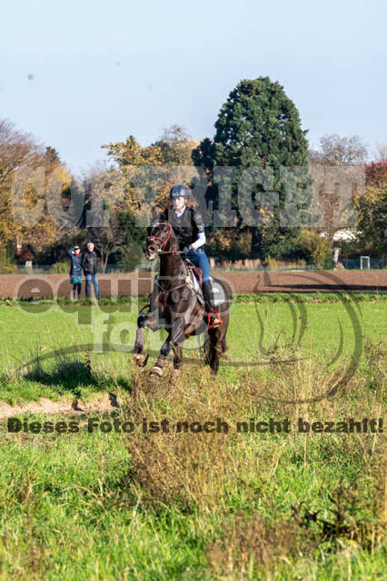 Vielseitigkeitslehrgang mit Jürg Kurbel (9.+10.11.2019)