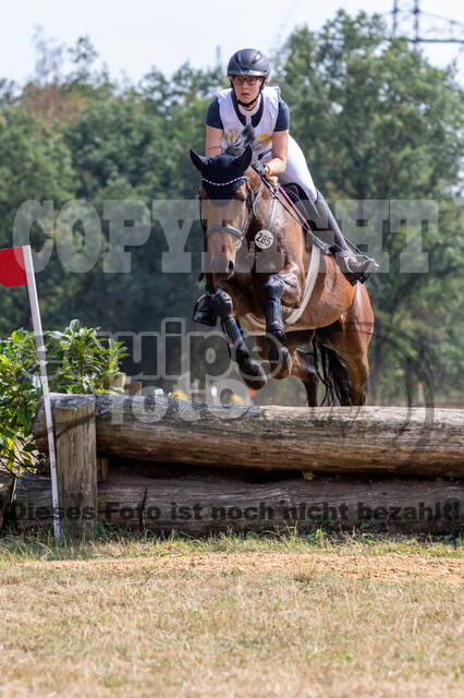 Late-Entry Vielseitigkeit Hamminkeln/Wesel (01.+02.08.2020)